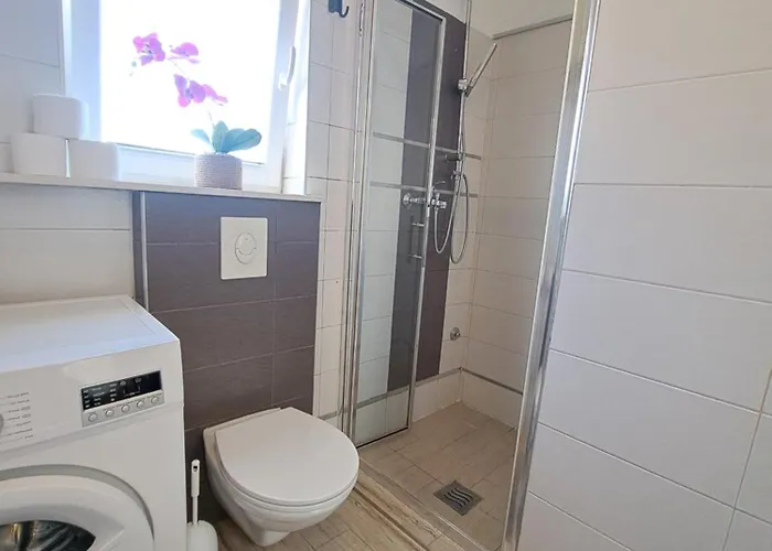 Apartment Sweet Lustig